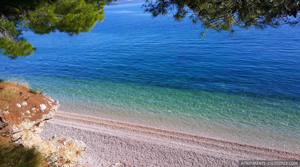 Živogošće Blato plaža Dole